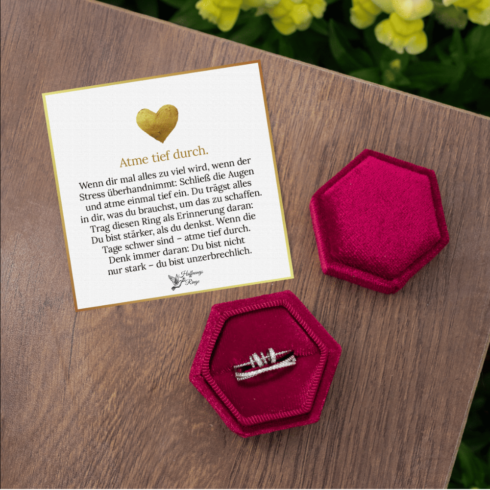 Fidget Ring aus Silber