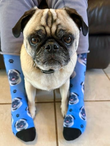 Personalisierte Tier Socken